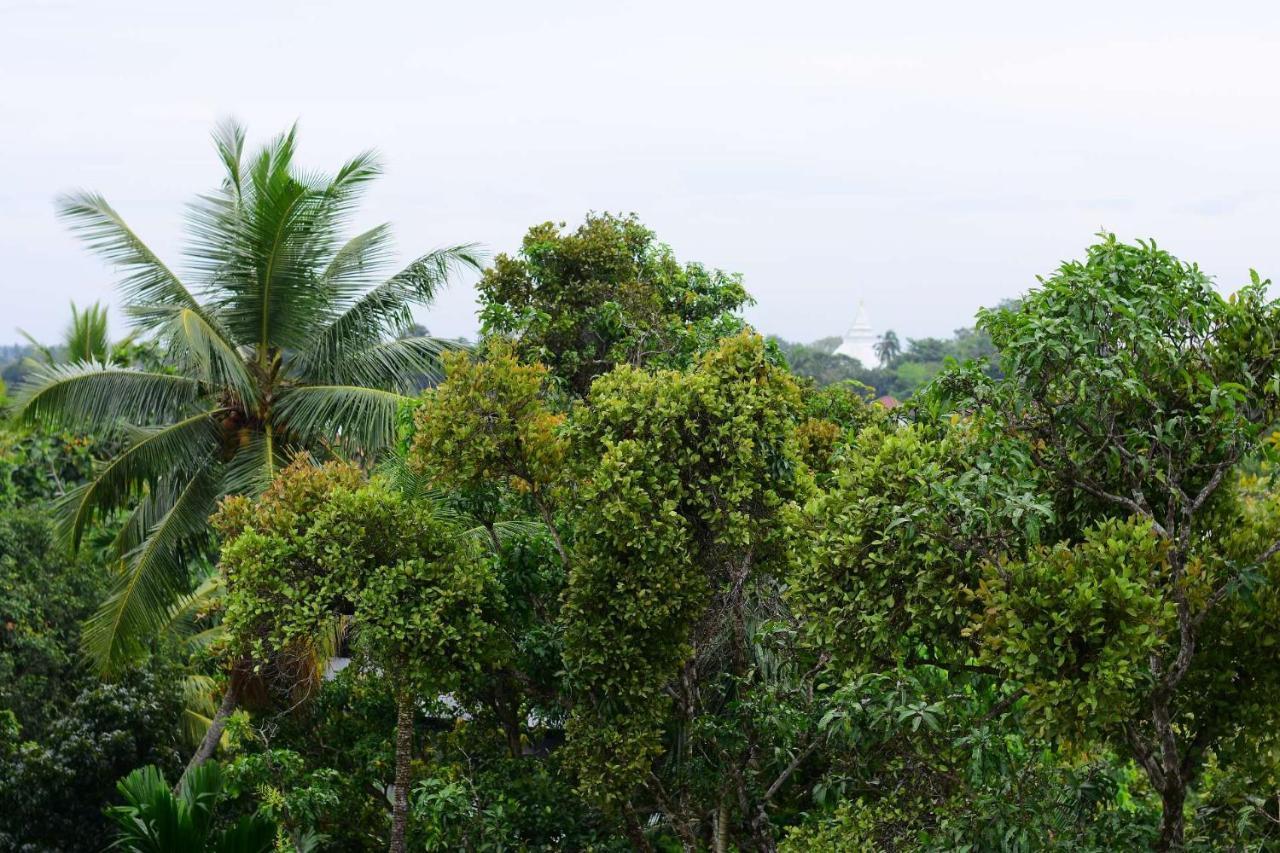 Heritage Eco Resort Kelaniya Exterior foto