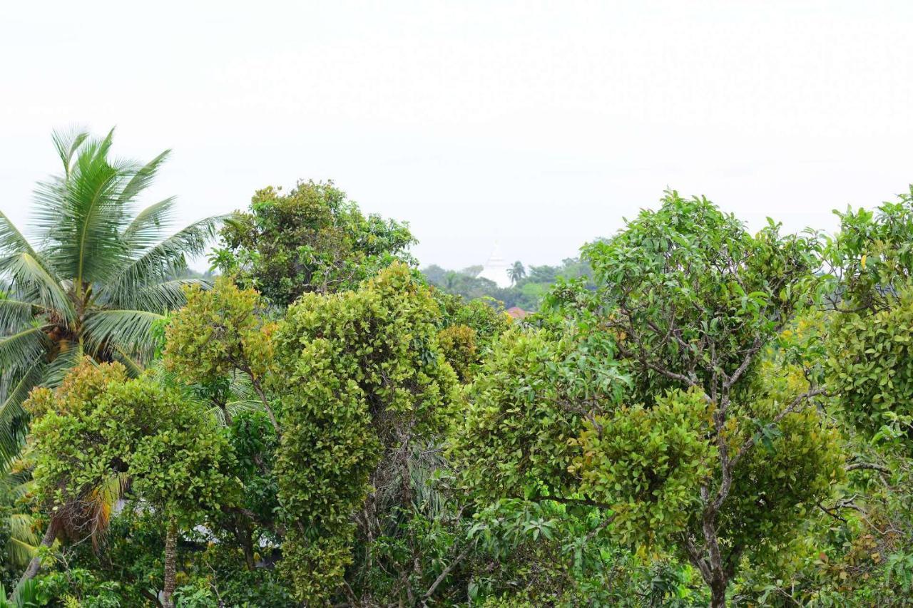 Heritage Eco Resort Kelaniya Exterior foto
